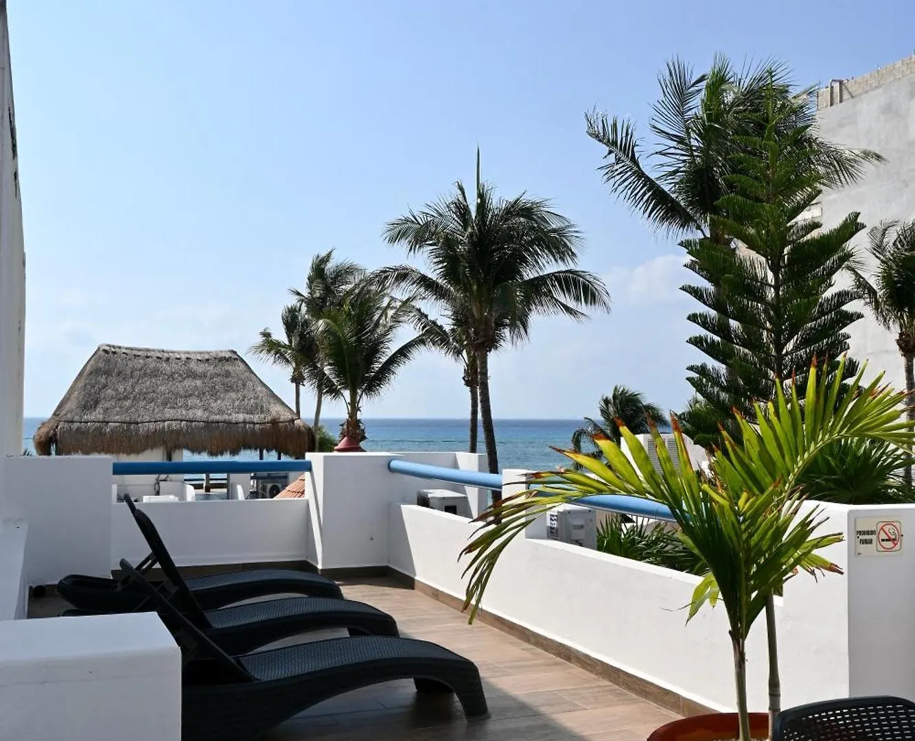Pelicano Inn Playa Del Carmen - Beachfront Hotel 3*,  México
